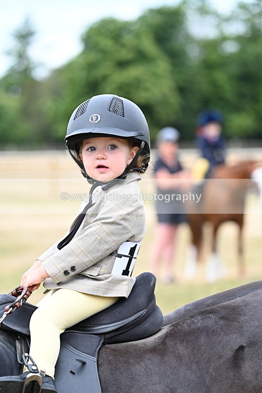 WJ7_9852 - Class 1 Lead Rein Pony