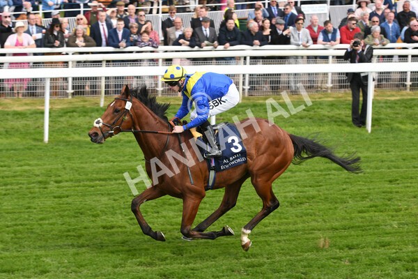 yr12052022r4-40 - Race 4 3.35pm Al Basti Equiworld Dubai Dante Stakes