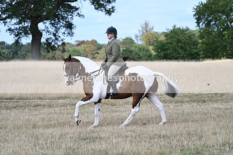 WJ7_6972 - Class 14 Ridden Coloured