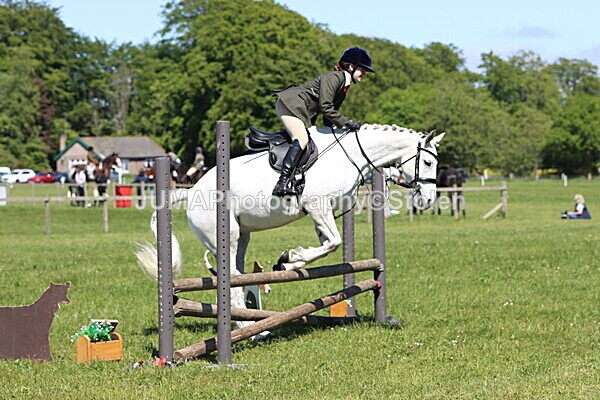 IMG_3959 - Working Hunter
