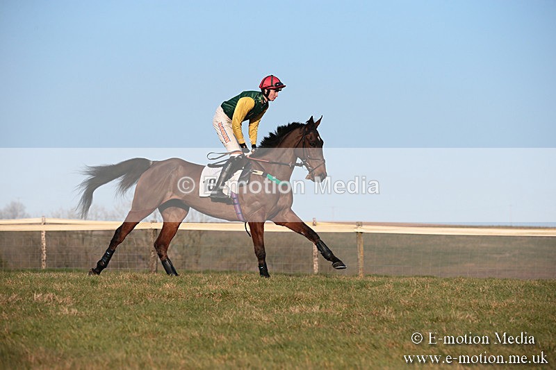 PtP 230219 566 - Vine & Craven Point-To-Point - Barbury 23/02/19