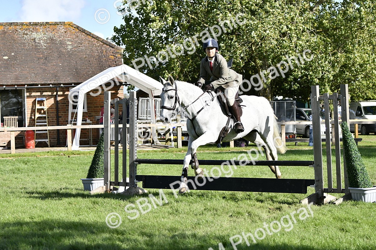 SBM_50017 - S34 - Novice & Newcomers Working Hunter
