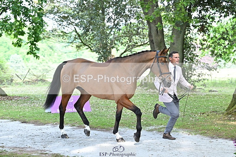 250521A-151329-00348 - B-353-Alexander.Bragg-JAEGER.MASTER