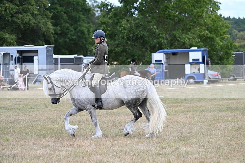 WJ7_4961 - Class 12 Ridden Cob
