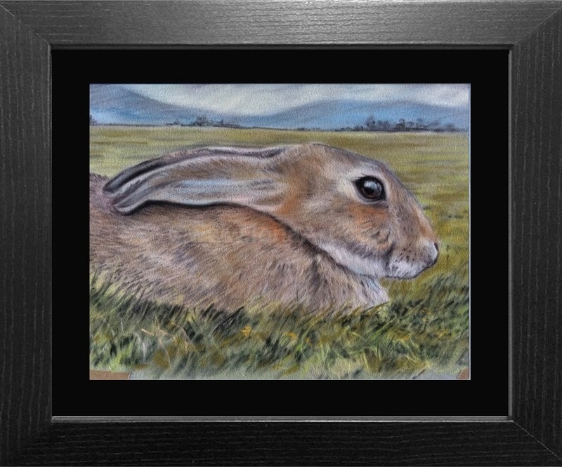 Still Life! SOLD - Widlife/Nature