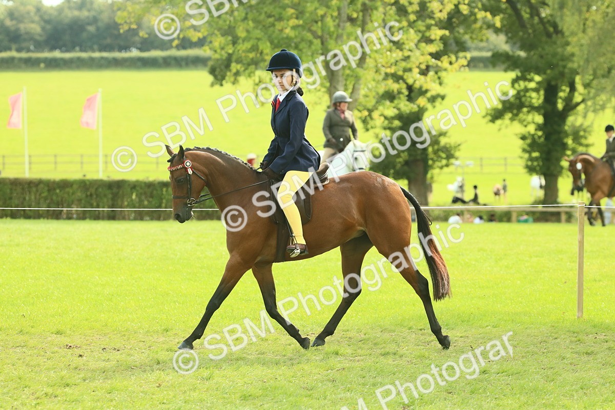 SBM_68089 - S57 - Part Bred Pony Ridden
