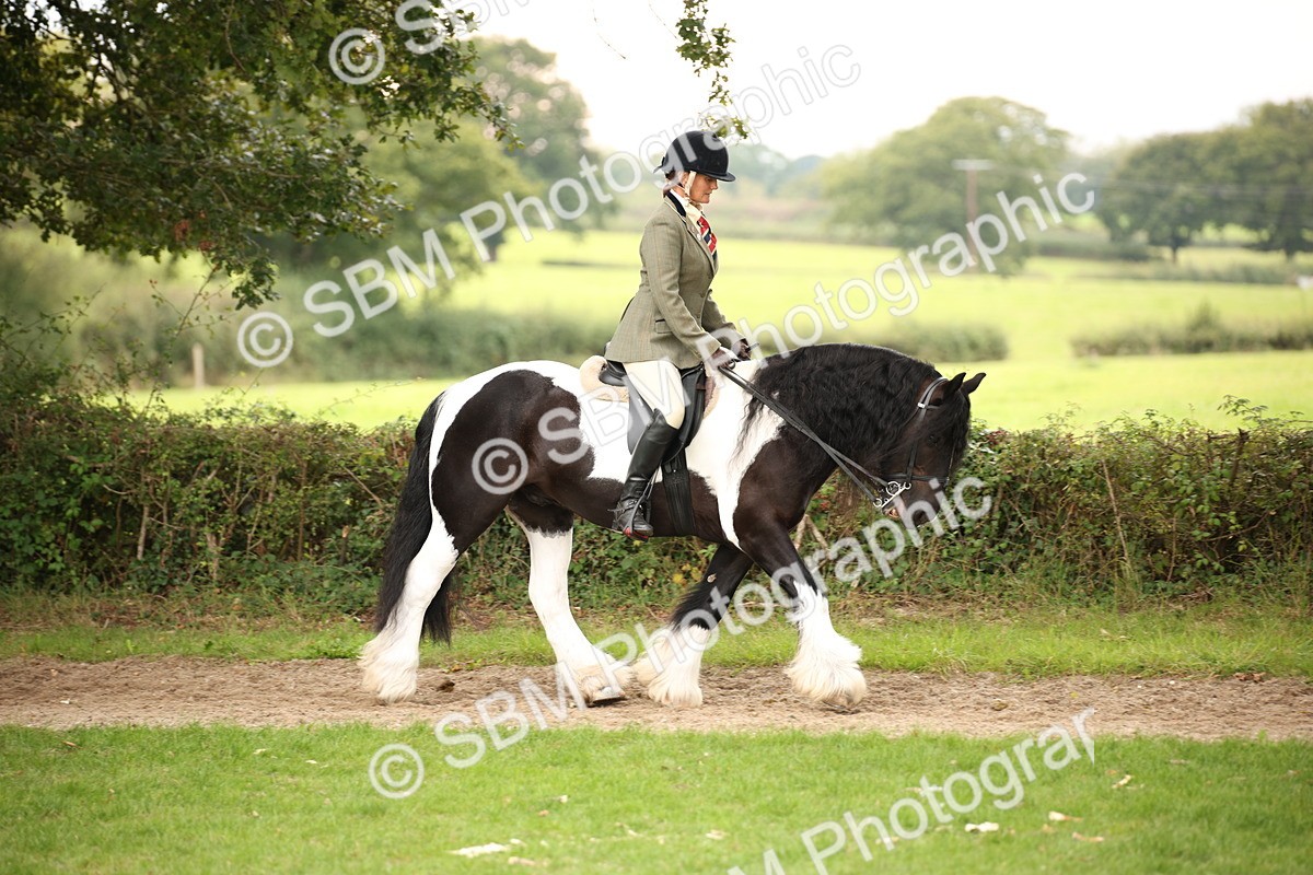 SBM_73422 - S68 - Traditional Cob Ridden