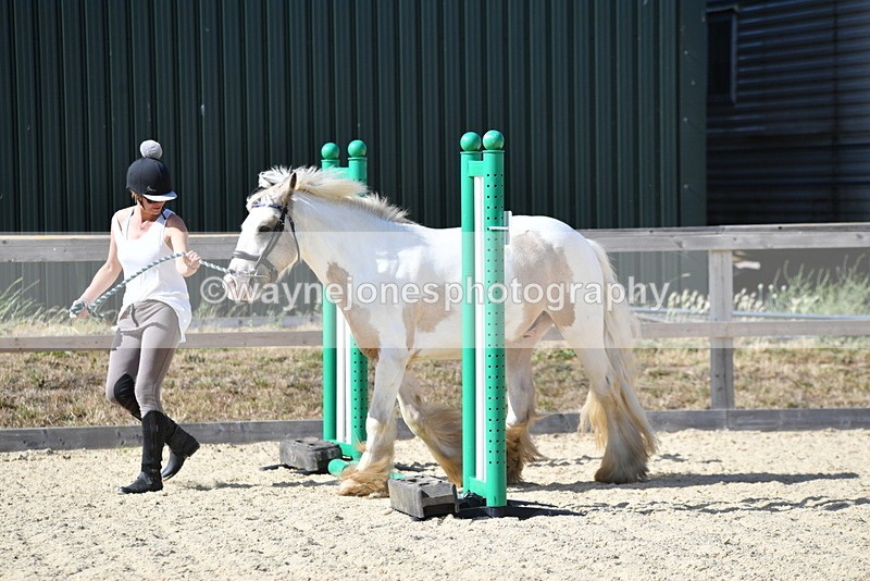 WJ5_5435 - Poles on the Floor