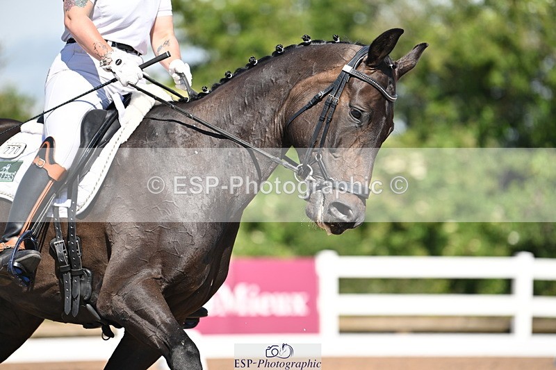 240621A-101526-01310 - Cls 4 BD Novice 22