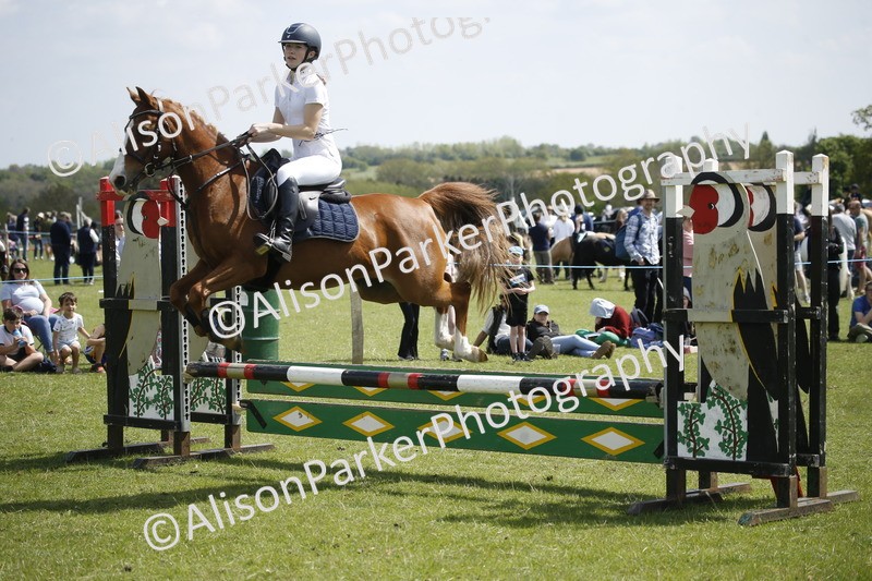 20250427-3705 - Class 14 - Absolute Novice 70cm