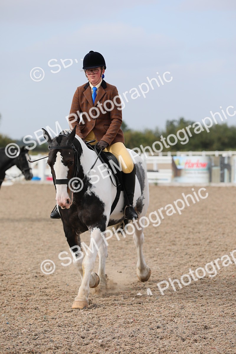 SBM_16974 - Class 314 Family Horse/Pony