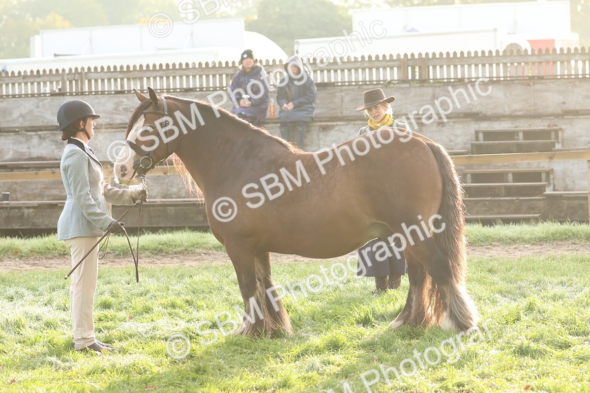 SBM_54536 - S38 - Starters Best Turnout