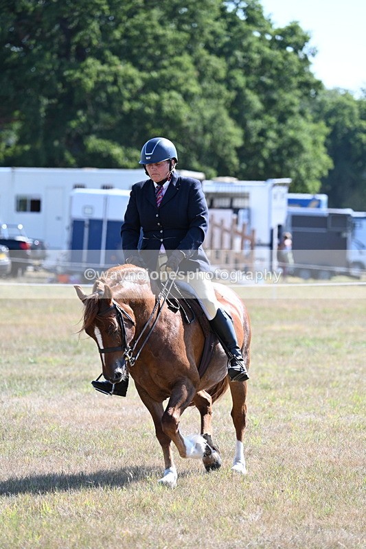 WJ7_3869 - Class 9 Mountain & Moorland Ridden