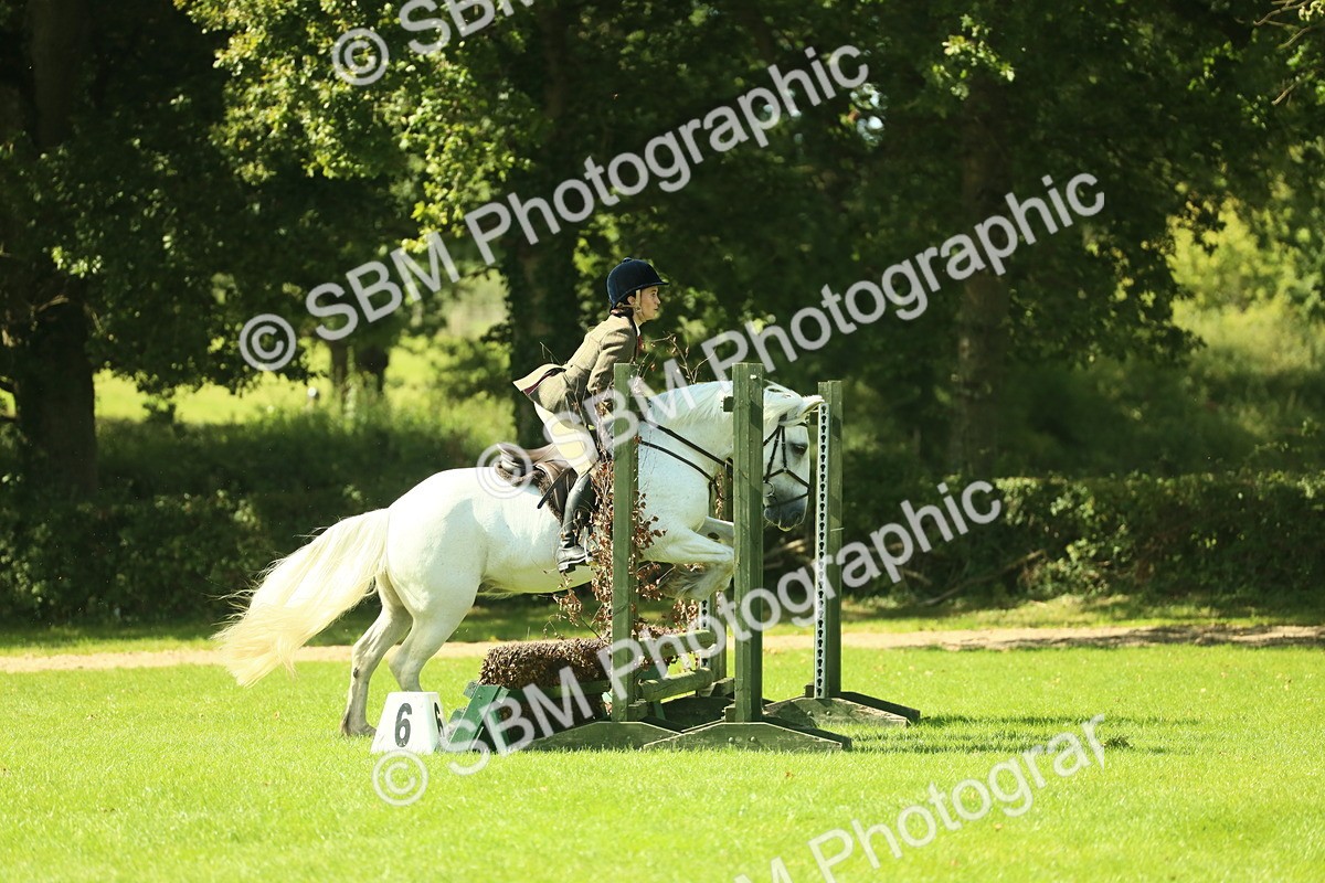 SBM_41990 - S29 - Novice & Newcomers Working Hunter Pony
