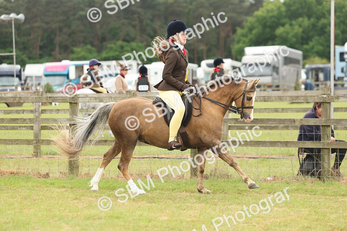 SBM_07153 - Class 76-77 - Ridden M&M Welsh Ponies