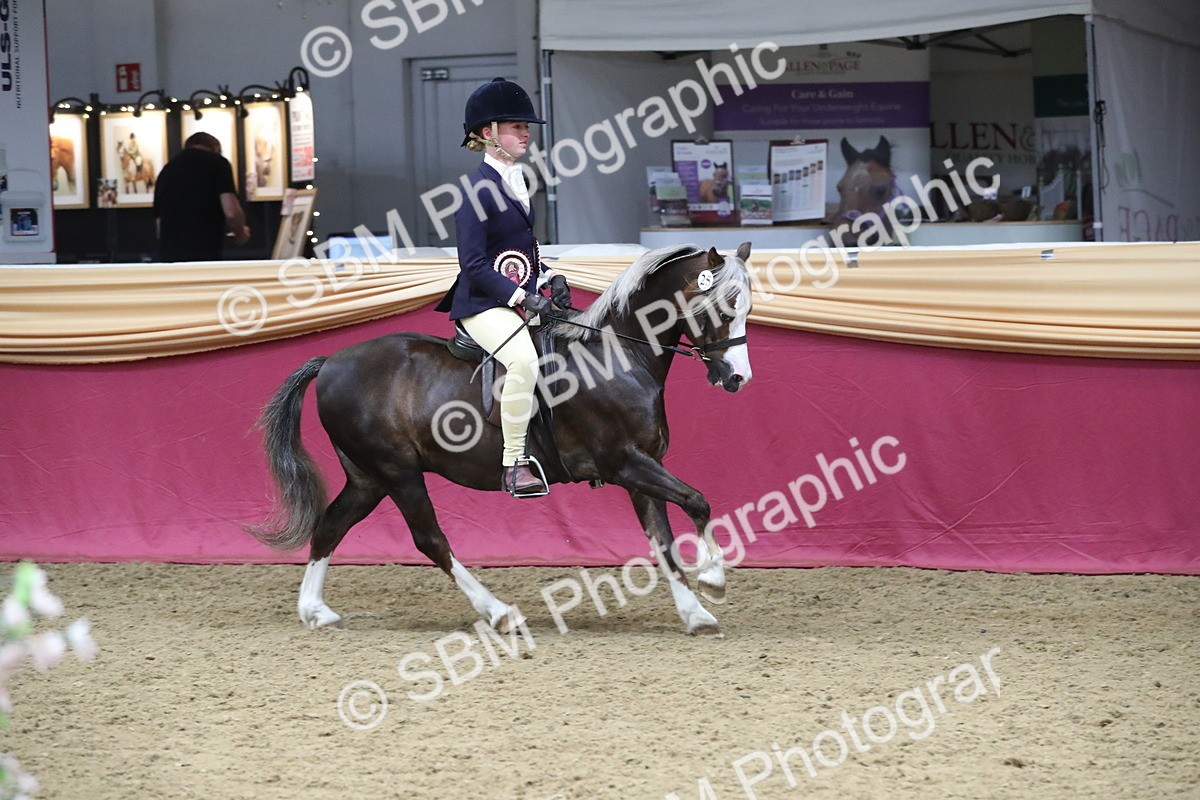 SBM_16554 - Class 502 M&M Ridden Supreme Final