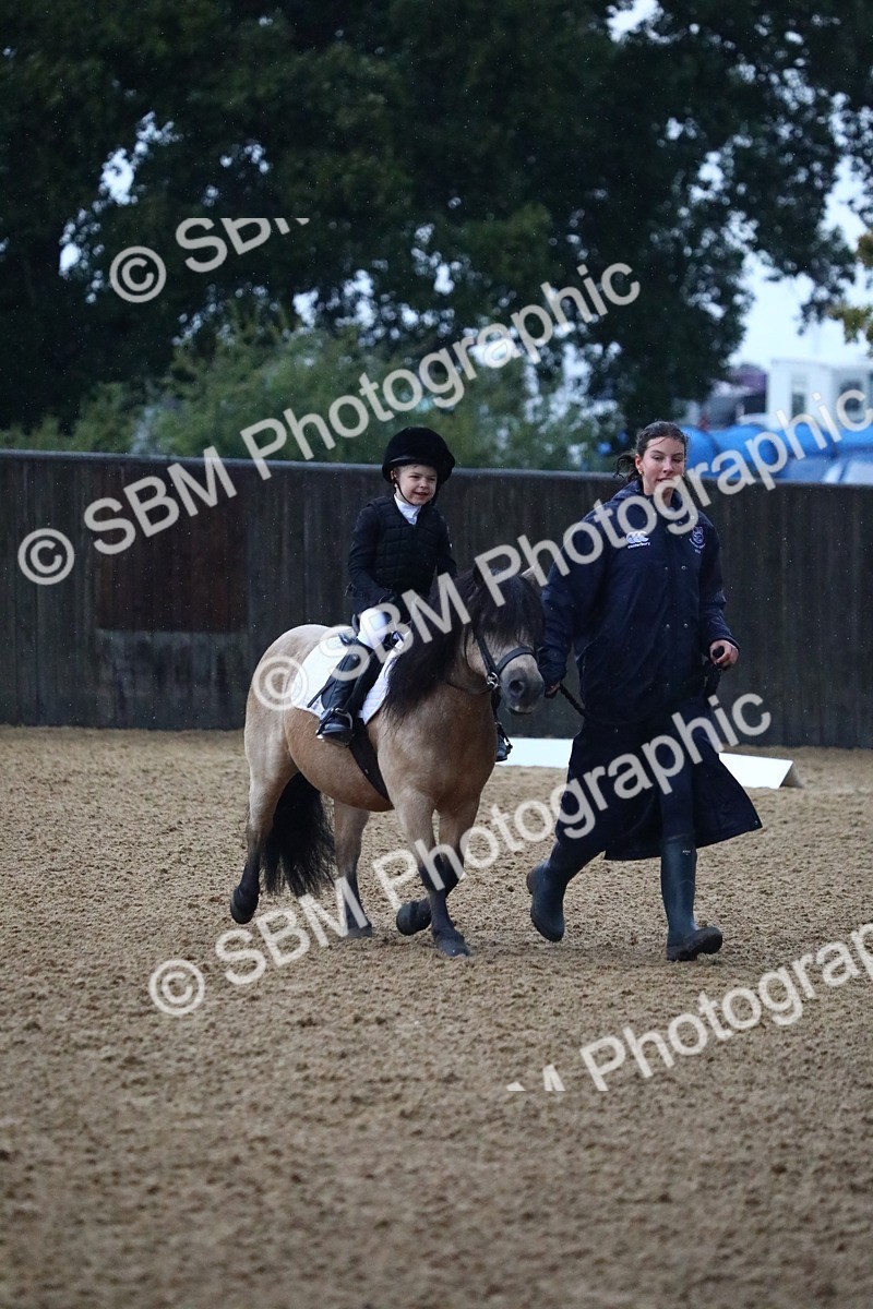 SBM_34597 - D26 - Starters Lead Rein