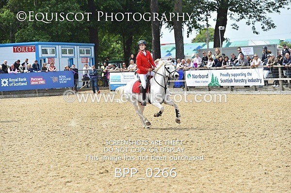 BPP_0266 - RHS 2019 Selection - *Just some random spectator shots so Lucky Dip if you are there!