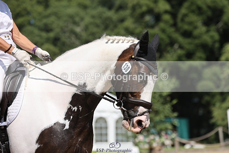 240719-142122-02281 - 130-Liz_Rivett-A_Blue_Eyed_Boy