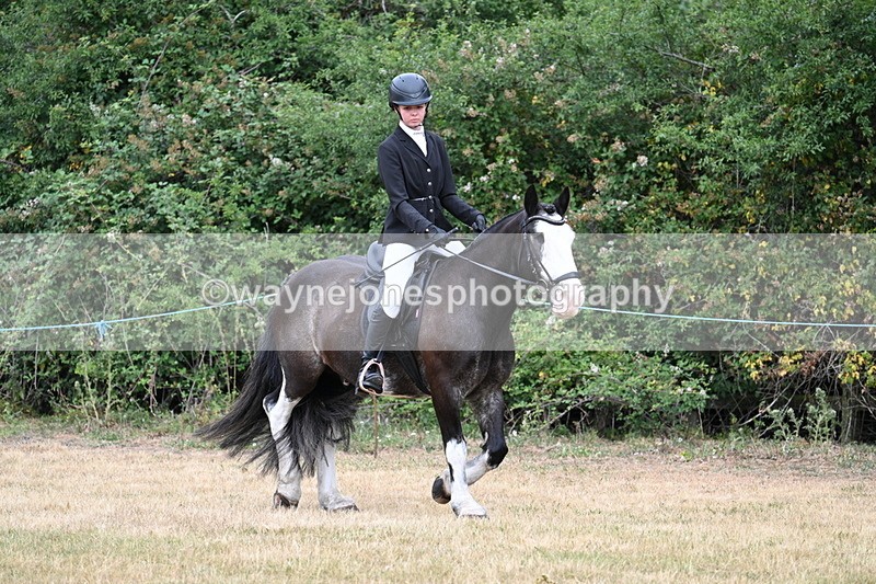 WJ7_0126 - Class 2 Best rider