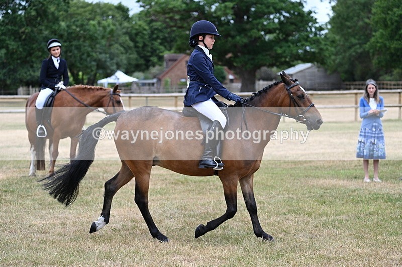 WJ7_0478 - Class 2 Best rider