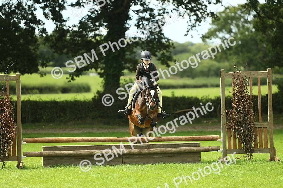 SBM_42752 - S30 - M&M Working hunter Pony