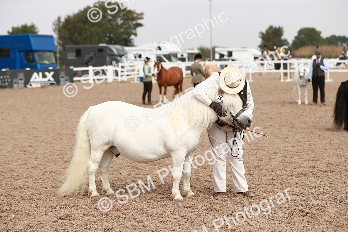 SBM_12528 - Class 207 IH M&M