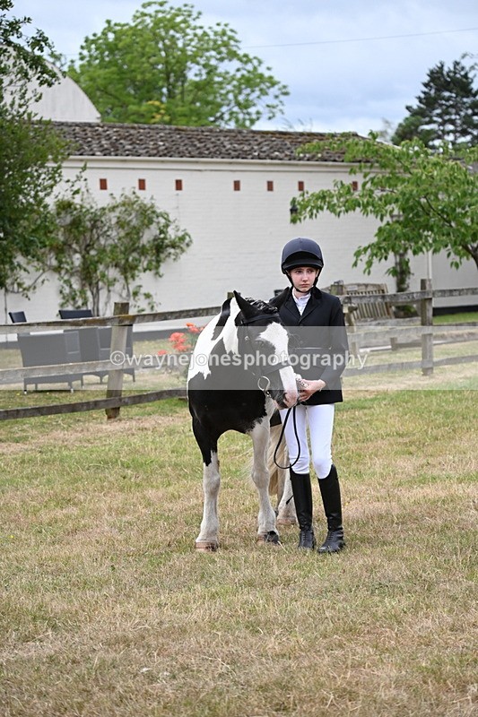 WJ6_4534 - Class 10 Coloured In-hand