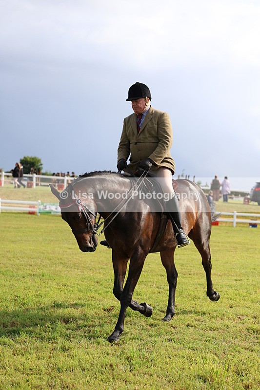 3E7A8193 - Class 2: Rising Star Large Hack/Riding Horse