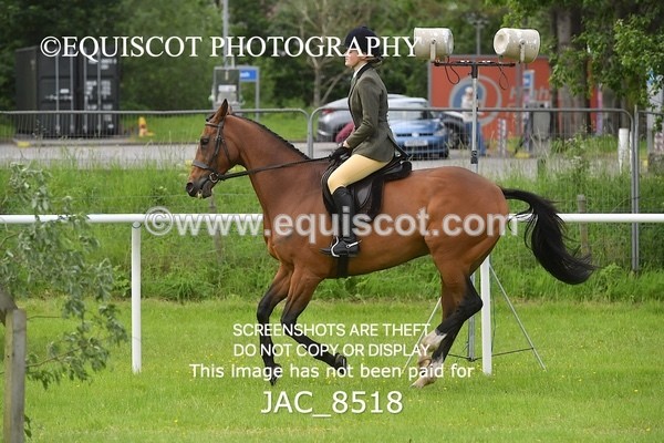 JAC_8518 - CLASS 3 BHS STYLE JUMPING