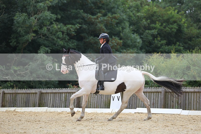 3E7A7079 - Class 7: Novice 4 2024 Section B