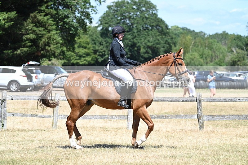 WJ7_2867 - Class 7 Riding Club Show Horse
