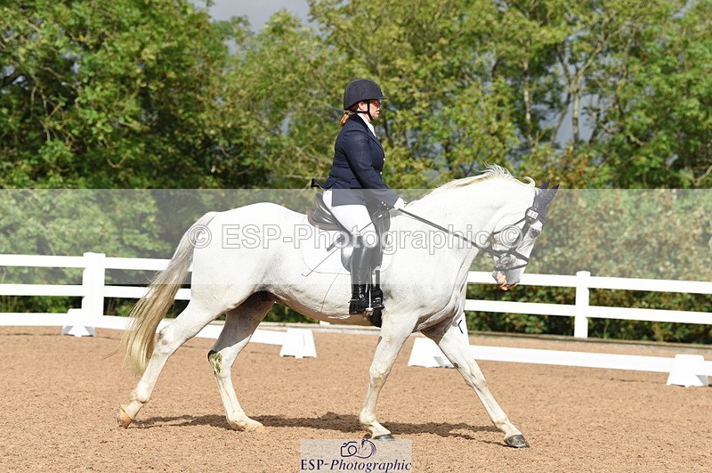 230912A-110258-00484 - Cls 7 Elementary 40