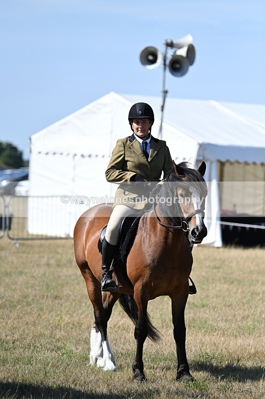 WJ7_3616 - Class 9 Mountain & Moorland Ridden