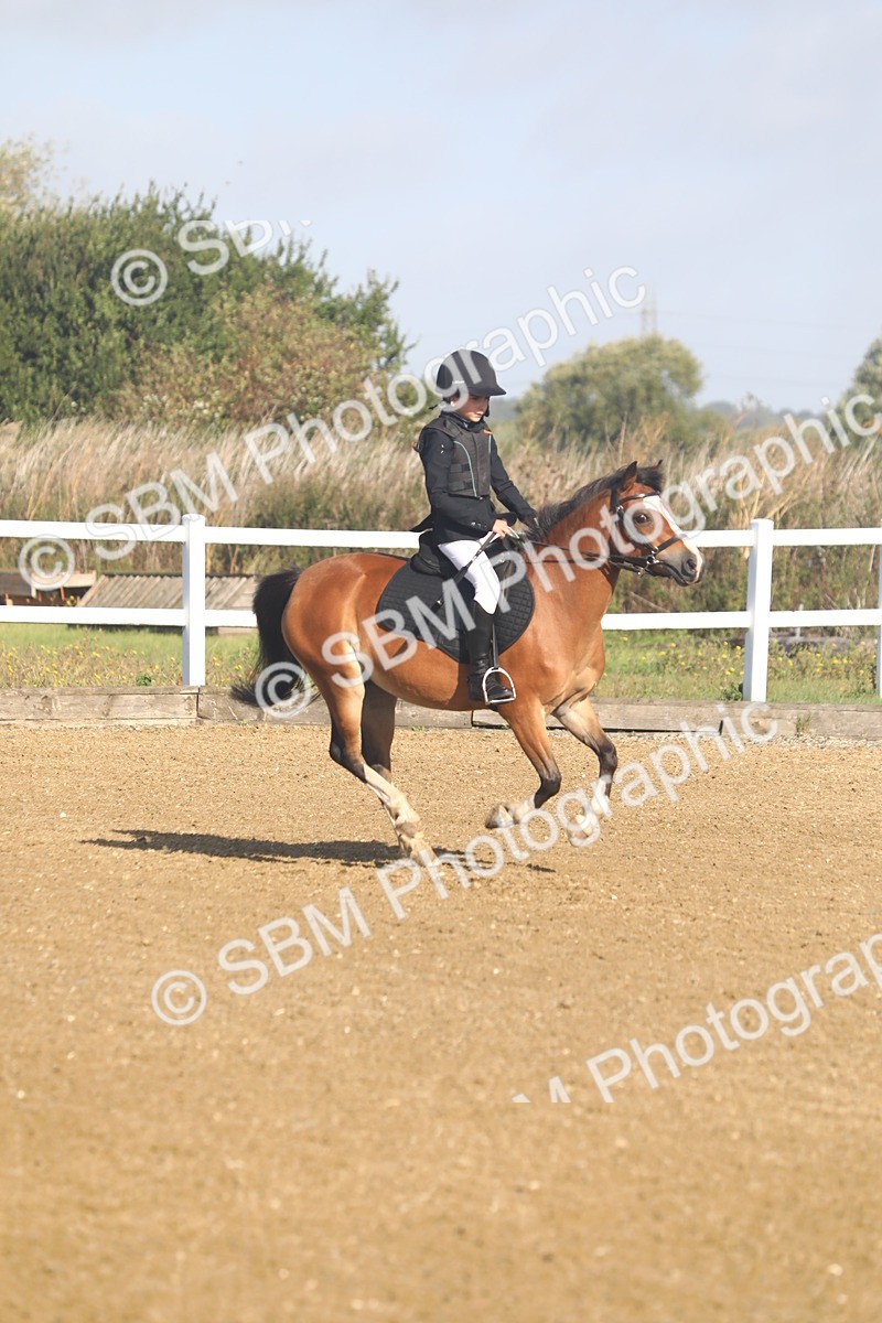 SBM_004768 - Class 2 - 40cm Champs