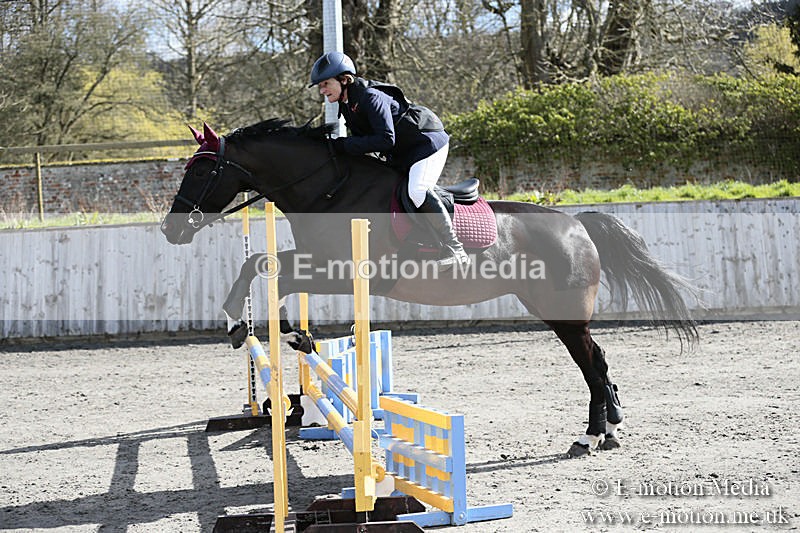 BVRC SJ 170319 192 - Bourne Valley Riding Club Showjumping 17/03/19