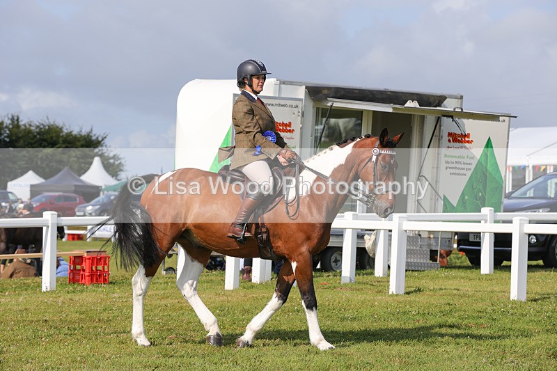 1X9A3446 - Skewbald and Piebald Ridden Championship