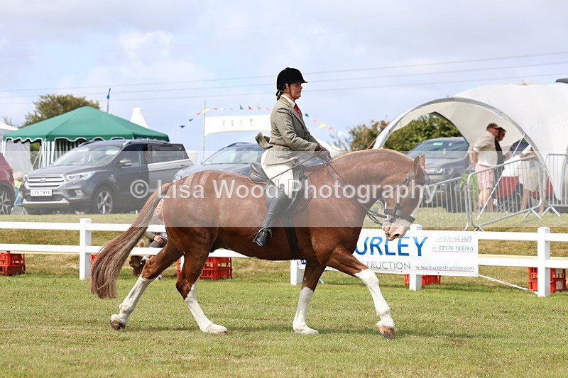 3E7A0174 - Class 6: Rising Star Maxi Cobs