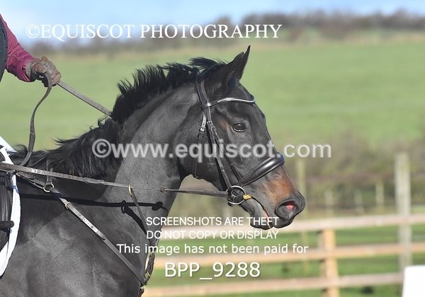 BPP_9288 - CLASS 3 60CM