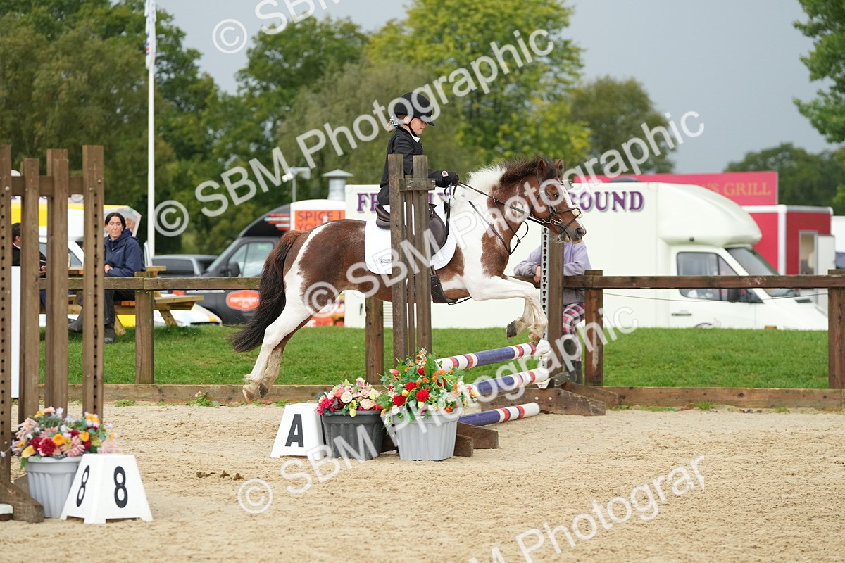 SBM_33471 - J5 - Junior Pony 50cm Championship
