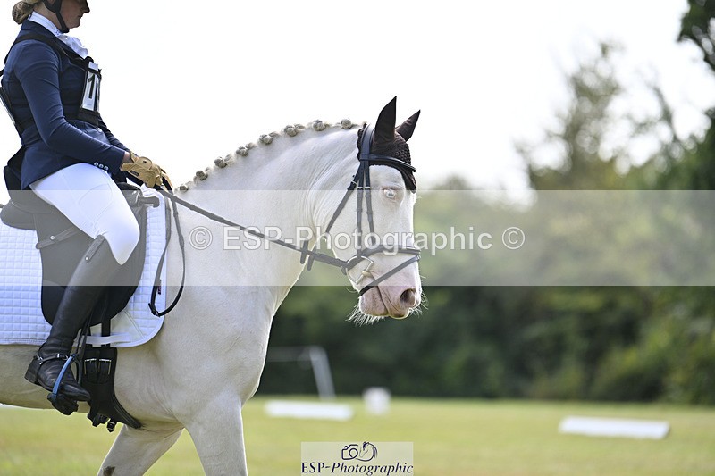 240824X-115809-26134 - D80 Section E and F 11.00 to 12.00