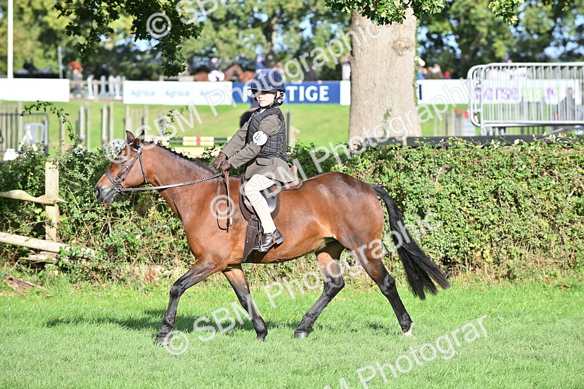 SBM_51264 - S22 - First Ridden show and show Hunter Pony
