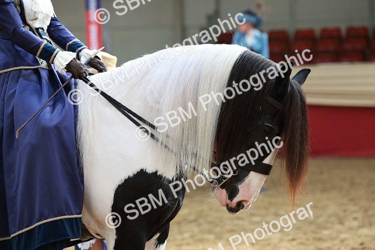 SBM_13726 - Class 106 - Ridden Costume -Astride Adult (15-19)