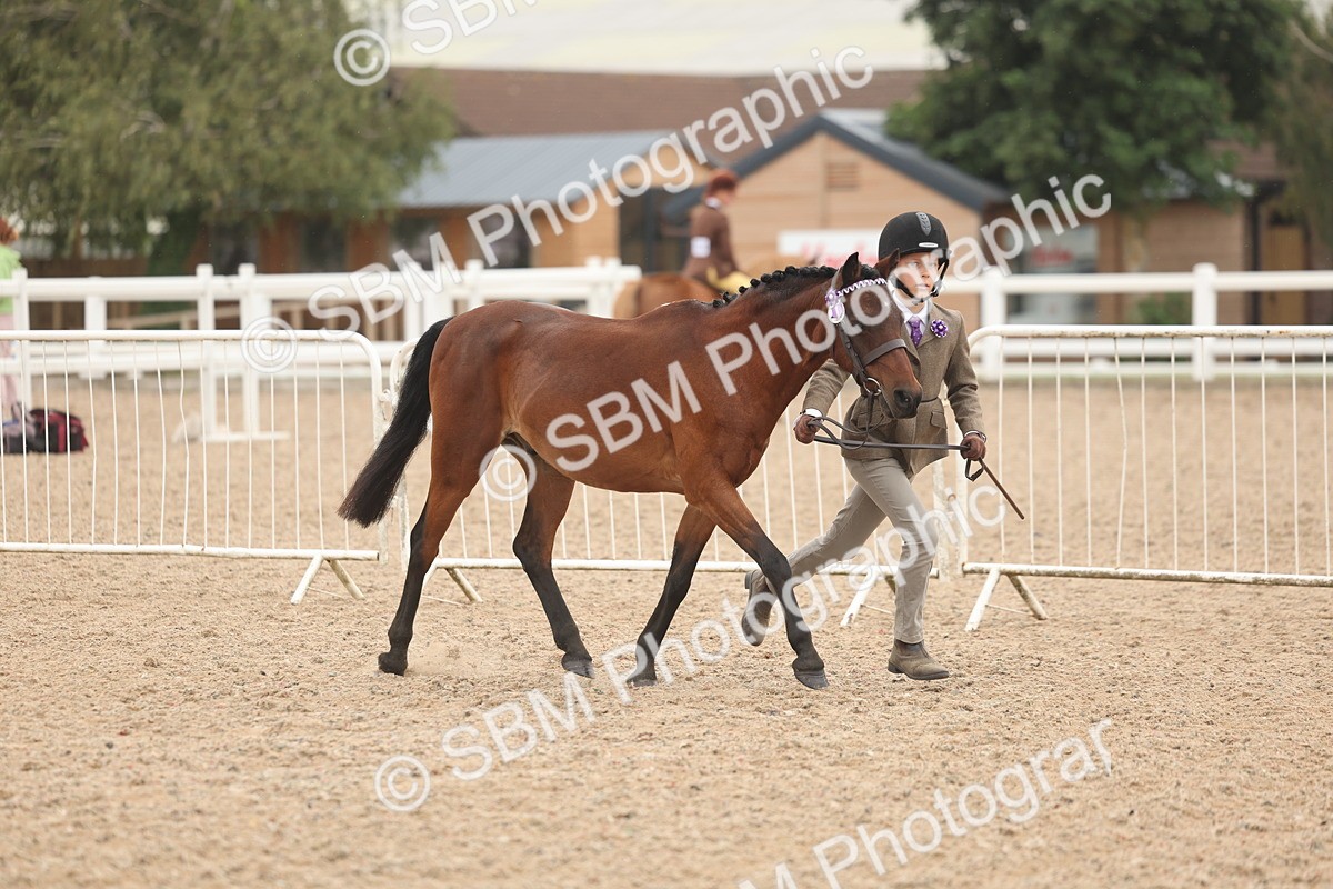 SBM_00507 - Class 13 Young Handler