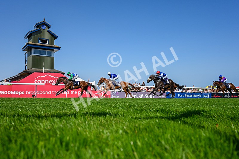 130826-Race 1-Not My Type-5233 - Race 1 14.15pm Racing TV Club Day EBF Fillies' Novice Stakes