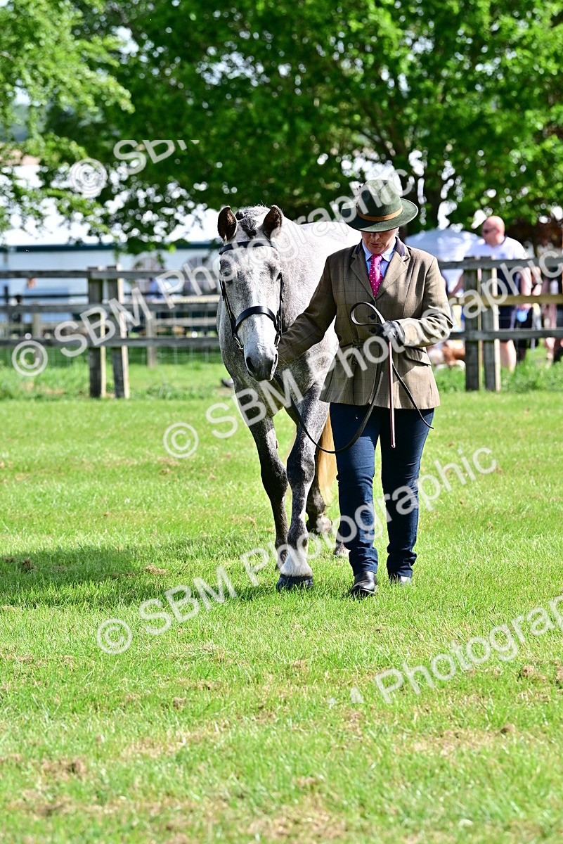 SBM_03320 - Class 50 - 54 Light Horse Breeding
