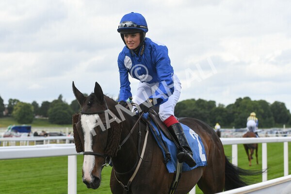 yr11062022r2-29 - Race 2 2.00pm Queen Mother's Cup