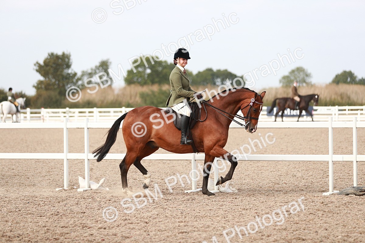 SBM_17438 - Class 215 Ridden Hack/ Riding Horse