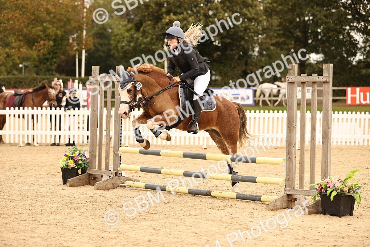 SBM_72516 - J14 - Junior Pony 65cm Championship