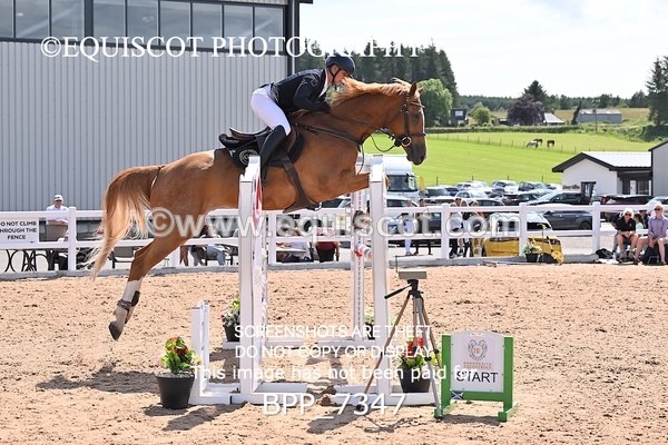 BPP_7347 - CLASS 14 FRI Nupafeeds Senior Dicovery/1m open